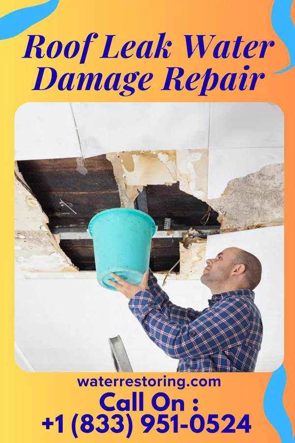Roof Leak Water Damage Repair in Chokio, MN