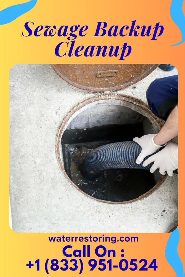 Sewage Backup Cleanup in Chokio, MN
